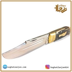 چاقوی ضامن دار موسوی در زنجان